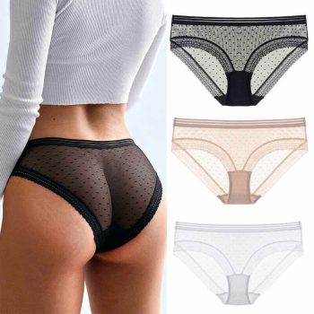 Sexy Women's Dot Lace Sheer Mesh See-through Panties Underwear Sleepwear Knicker